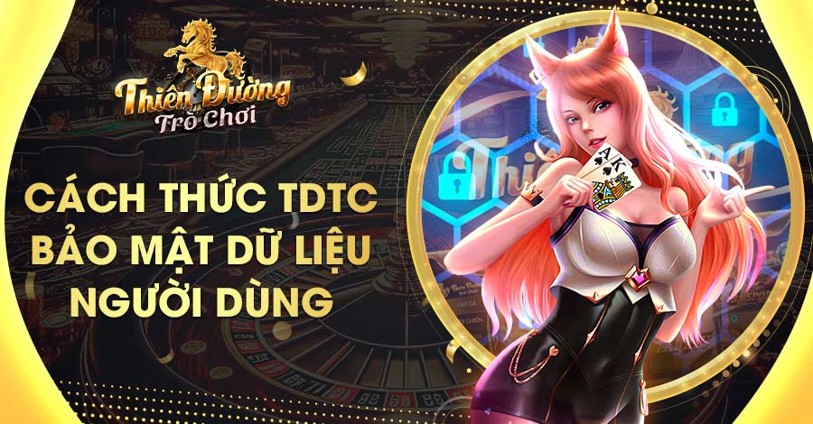 Thông tin trong chính sách quyền riêng tư tại TDTC